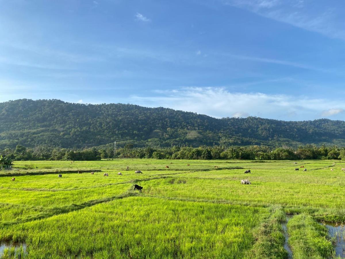 Lamanleman Langkawi Pantai Cenang  Luaran gambar